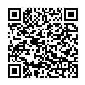 Link to your fundraiser QRCode - Fundraising