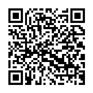 Link to your fundraiser QRCode - Fundraising
