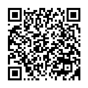 Link to your fundraiser QRCode - Fundraising