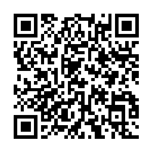 Link to your fundraiser QRCode - Fundraising