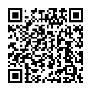 Link to your fundraiser QRCode - Fundraising