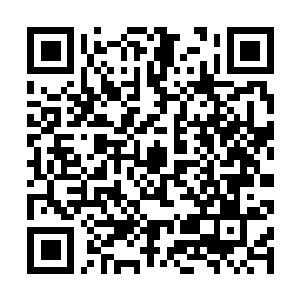 Link to your fundraiser QRCode - Fundraising