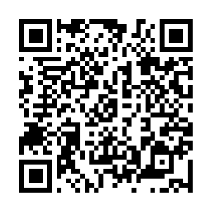 Link to your fundraiser QRCode - Fundraising