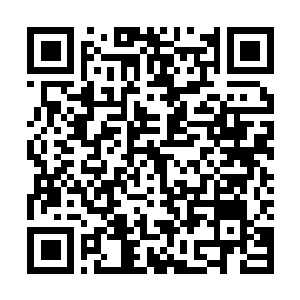 Link to your fundraiser QRCode - Fundraising