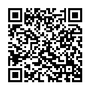 Link to your fundraiser QRCode - Fundraising