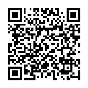 Link to your fundraiser QRCode - Fundraising