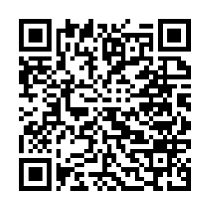 Link to your fundraiser QRCode - Fundraising