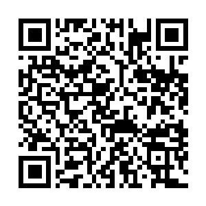 Link to your fundraiser QRCode - Fundraising