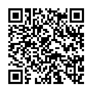 Link to your fundraiser QRCode - Fundraising