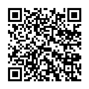 Link to your fundraiser QRCode - Fundraising