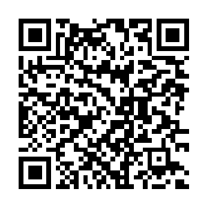 Link to your fundraiser QRCode - Fundraising