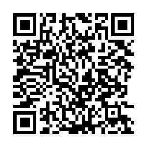 Link to your fundraiser QRCode - Fundraising