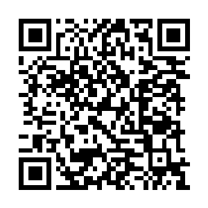 Link to your fundraiser QRCode - Fundraising