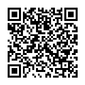 Link to your fundraiser QRCode - Fundraising