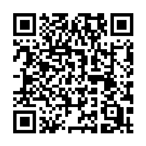 Link to your fundraiser QRCode - Fundraising