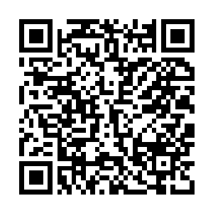 Link to your fundraiser QRCode - Fundraising