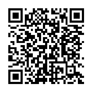Link to your fundraiser QRCode - Fundraising