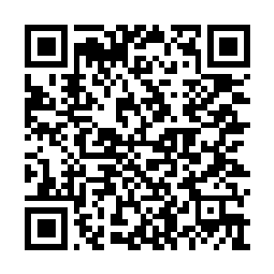 Link to your fundraiser QRCode - Fundraising