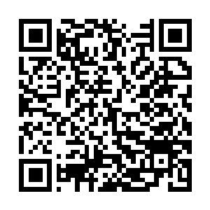 Link to your fundraiser QRCode - Fundraising