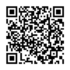 Link to your fundraiser QRCode - Fundraising