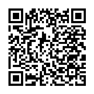 Link to your fundraiser QRCode - Fundraising