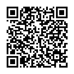 Link to your fundraiser QRCode - Fundraising