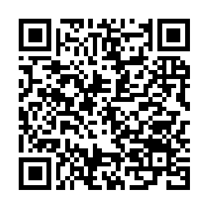 Link to your fundraiser QRCode - Fundraising