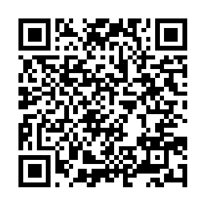 Link to your fundraiser QRCode - Fundraising