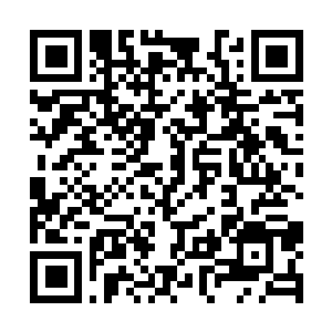 Link to your fundraiser QRCode - Fundraising