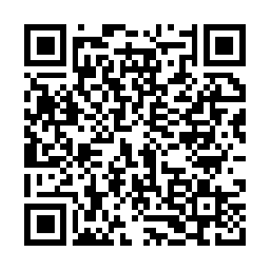 Link to your fundraiser QRCode - Fundraising