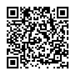 Link to your fundraiser QRCode - Fundraising