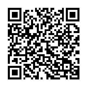 Link to your fundraiser QRCode - Fundraising