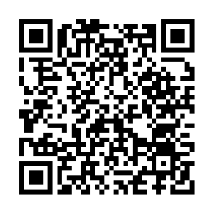 Link to your fundraiser QRCode - Fundraising