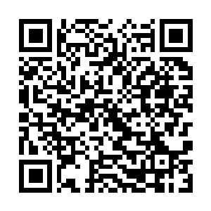 Link to your fundraiser QRCode - Fundraising