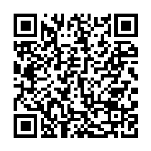 Link to your fundraiser QRCode - Fundraising