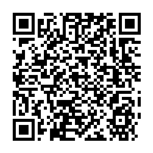 Link to your fundraiser QRCode - Fundraising