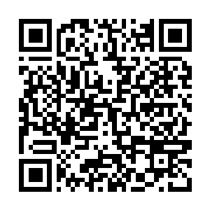 Link to your fundraiser QRCode - Fundraising