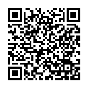 Link to your fundraiser QRCode - Fundraising