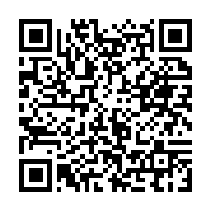 Link to your fundraiser QRCode - Fundraising