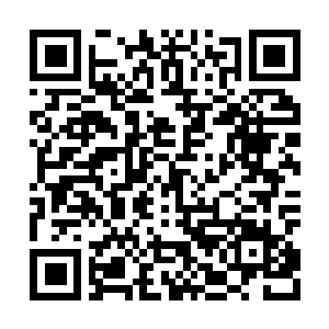 Link to your fundraiser QRCode - Fundraising