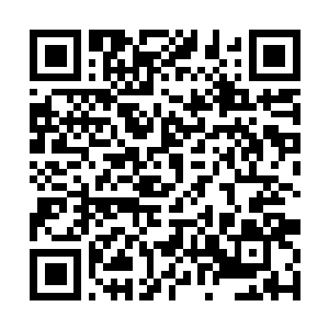 Link to your fundraiser QRCode - Fundraising