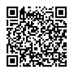 Link to your fundraiser QRCode - Fundraising