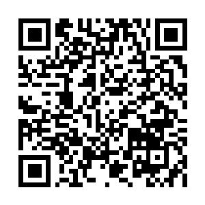 Link to your fundraiser QRCode - Fundraising