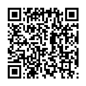 Link to your fundraiser QRCode - Fundraising