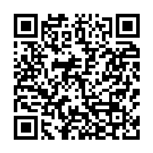 Link to your fundraiser QRCode - Fundraising