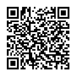 Link to your fundraiser QRCode - Fundraising
