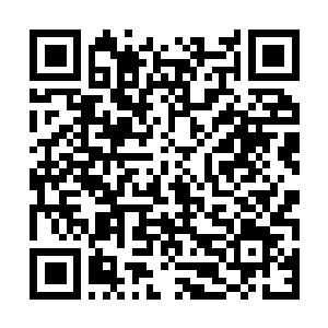Link to your fundraiser QRCode - Fundraising