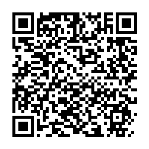 Link to your fundraiser QRCode - Fundraising
