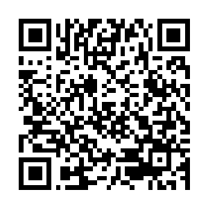 Link to your fundraiser QRCode - Fundraising