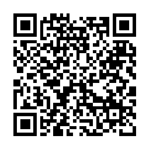 Link to your fundraiser QRCode - Fundraising